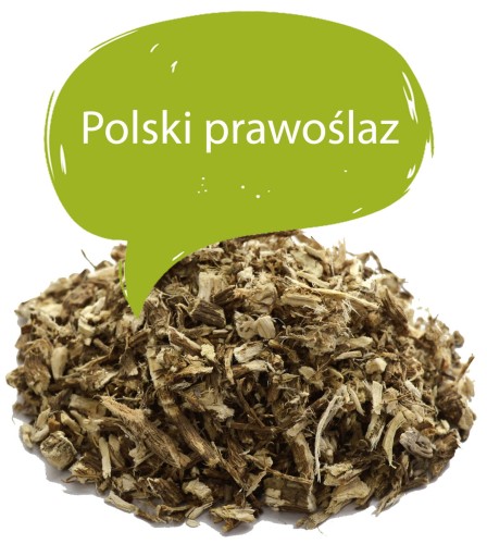 Prawoslaz korzen właściwości