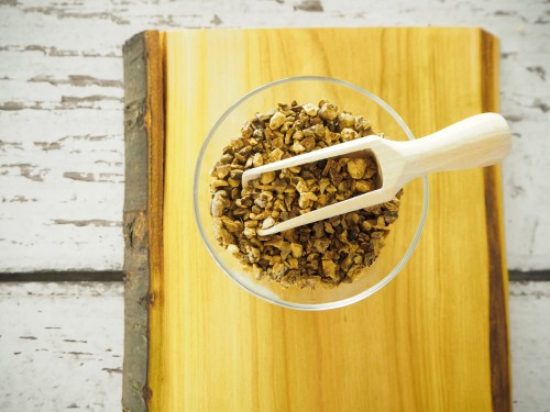 Harpagophytum procumbens