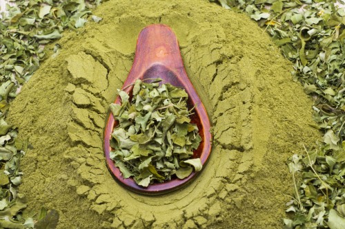 bio moringa liść krojony