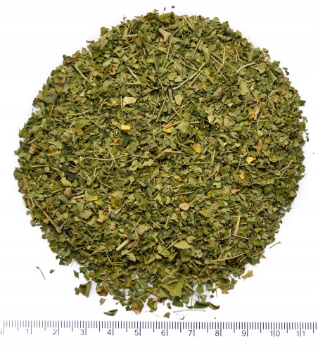 herbatka z organicznej moringi