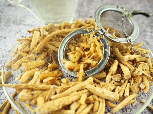 panax ginseng korzeń