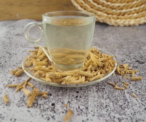 panax ginseng root