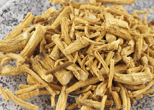 (Panax ginseng