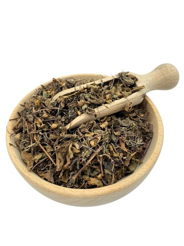 basil.jpg