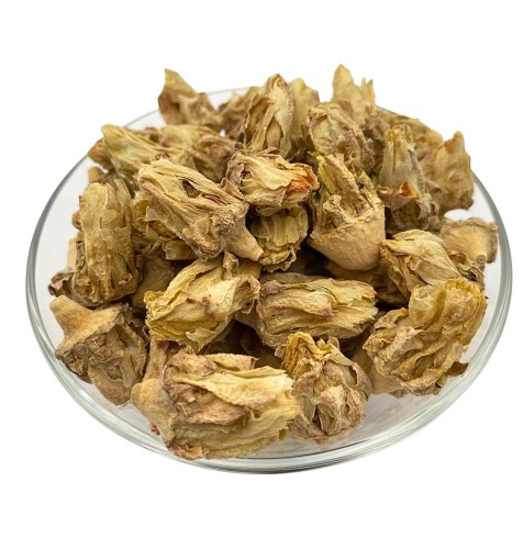 naturecactus.jpg