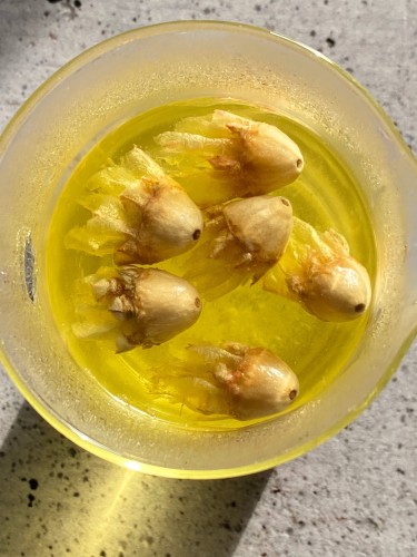 flowers in tea.jpg