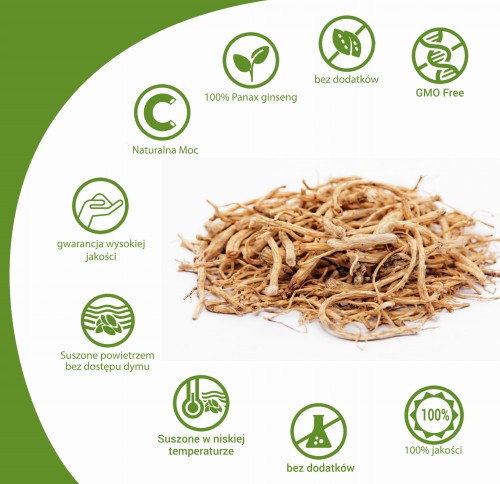 żeńszeń właściwy PANAX